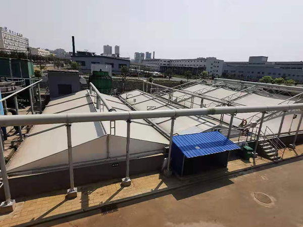 黃果樹
